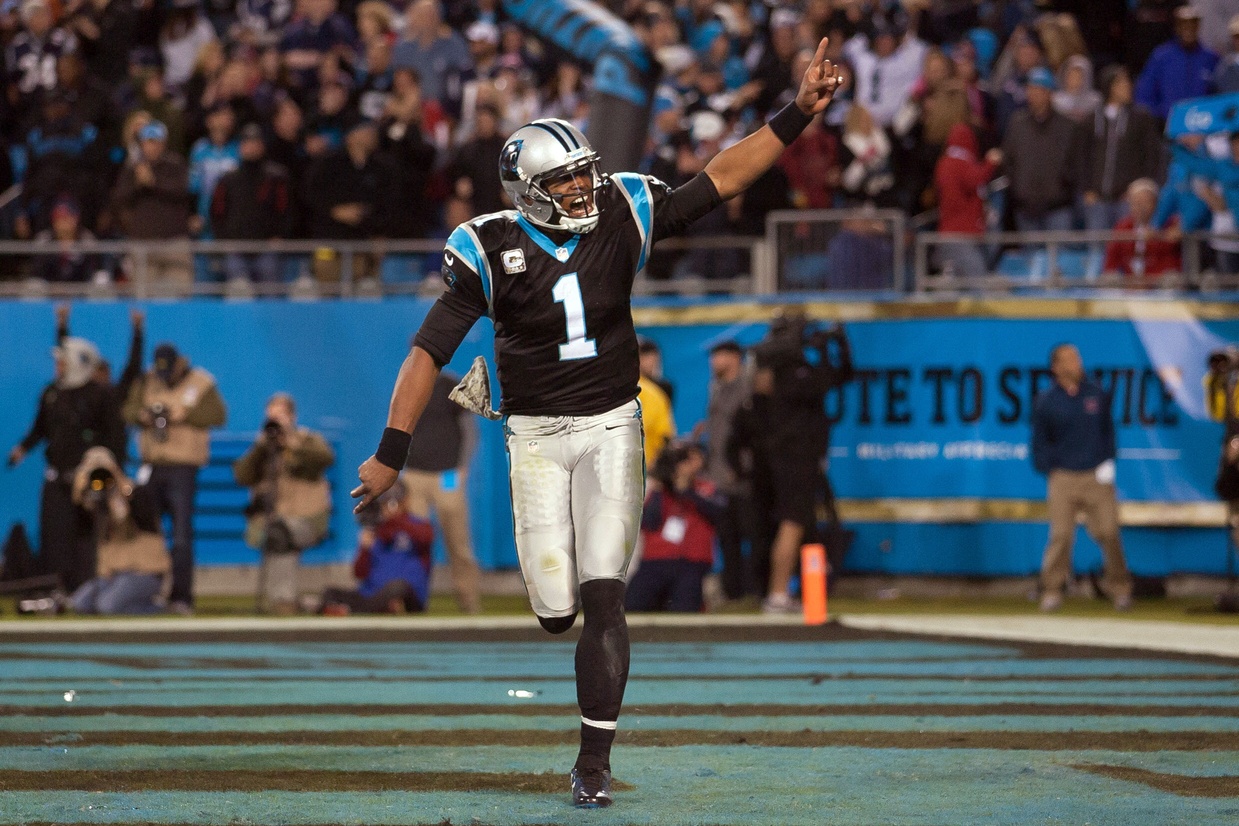 Panthers 2014-2015 schedule  Carolina panthers, Panthers, Panthers football