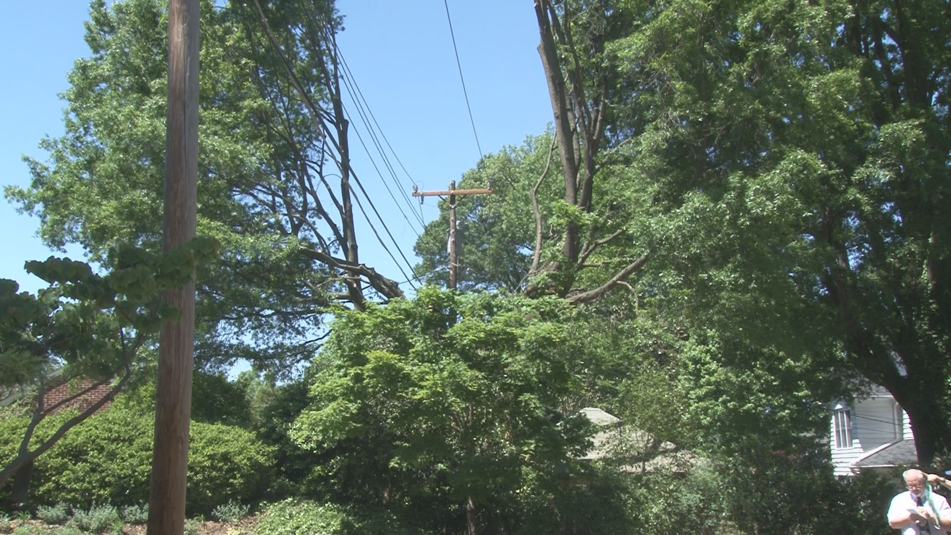 Neighbors Call Foul on Duke Energy Tree Trimming