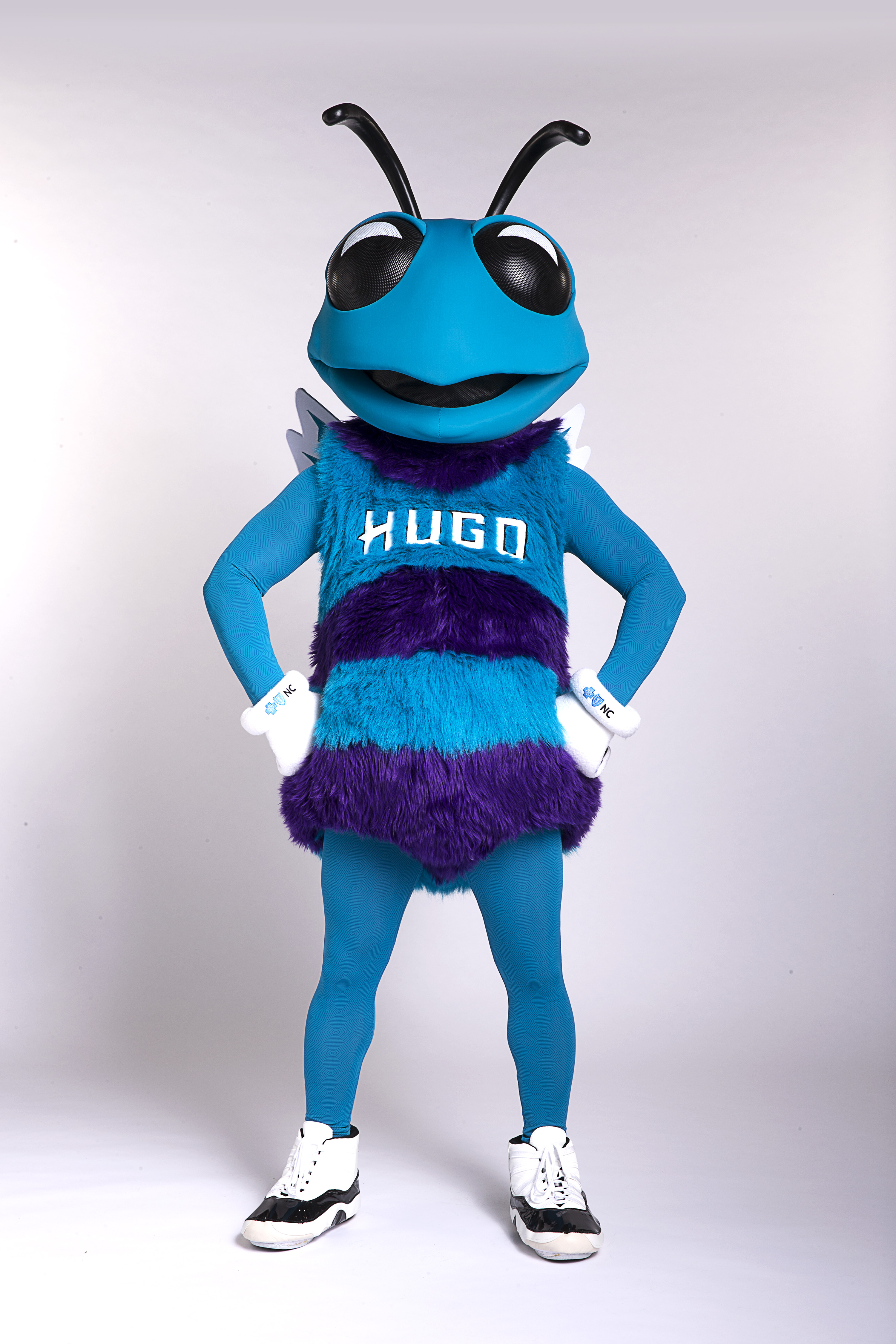 Hugo The Hornet