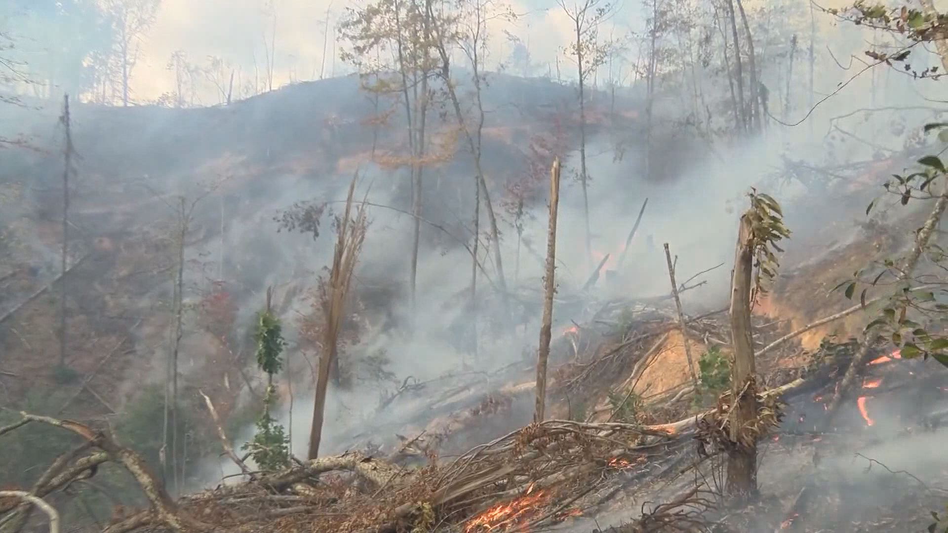 Triad Forestry Service fighting wildfires in NC mountains