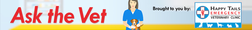 Ask the Vet
