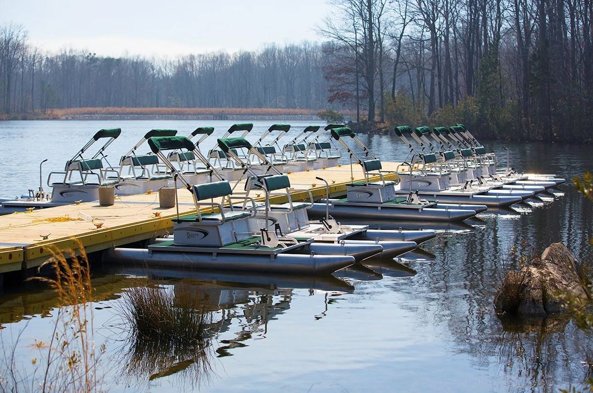 NC Zoo Adding Dragonfly Paddle Boat Rides