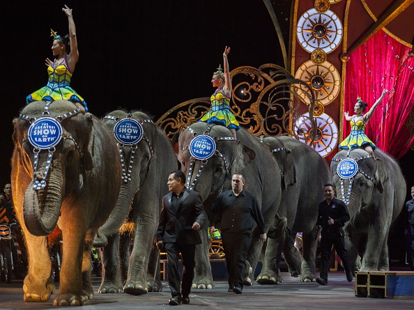 Ringling Bros, Barnum & Bailey Circus: 'Stop Calling Election A Circus ...