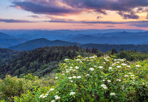 Blue Ridge Parkway Grows With Private Land Donation From Florida Man ...